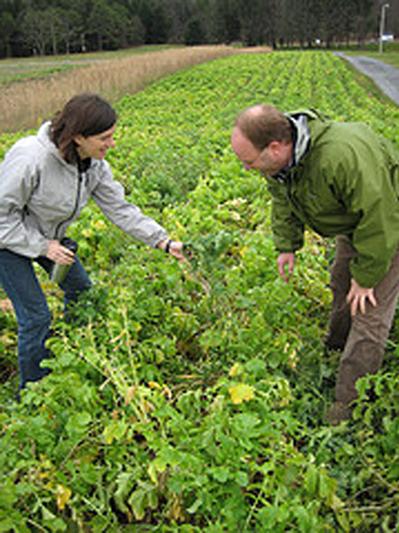 Woman and man looking at red clover