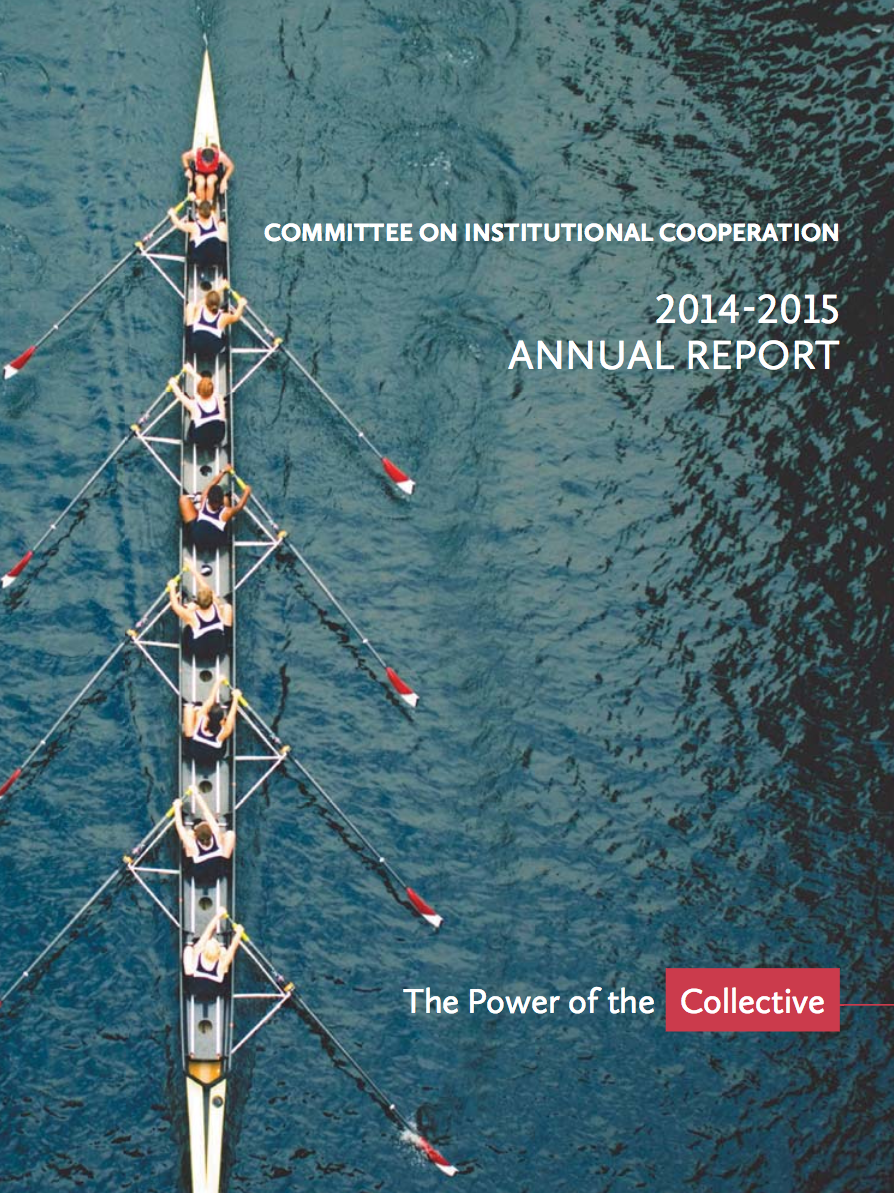 CIC annual report cover