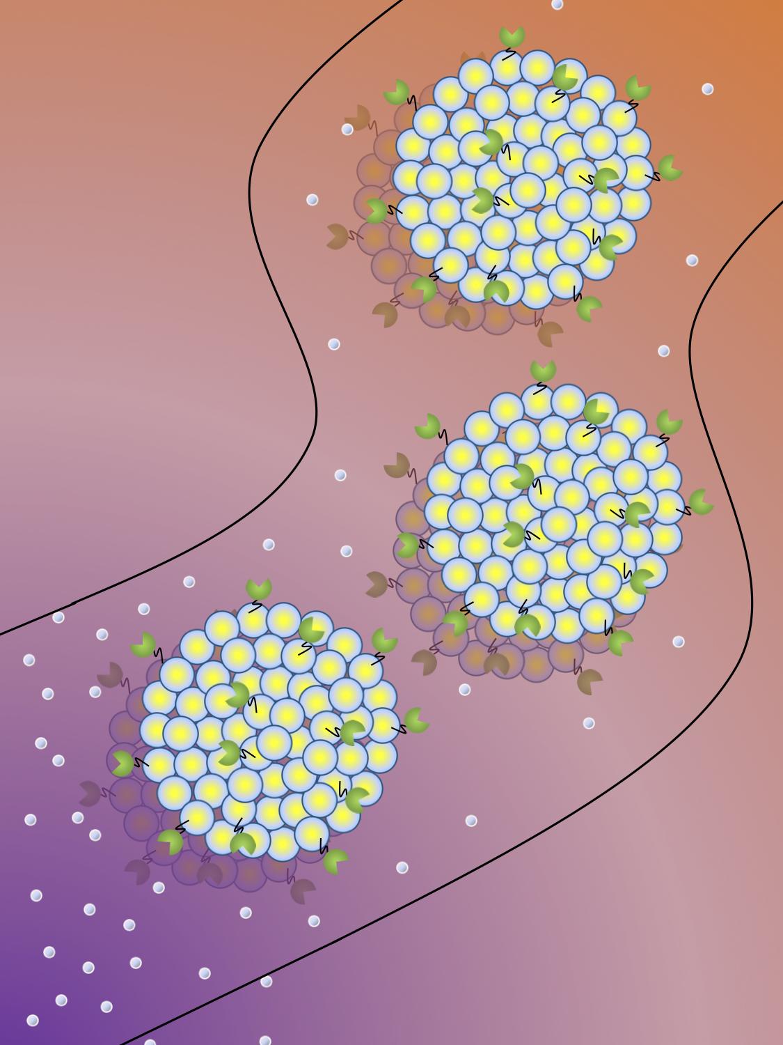 Illustration of protocells coated with enzymes