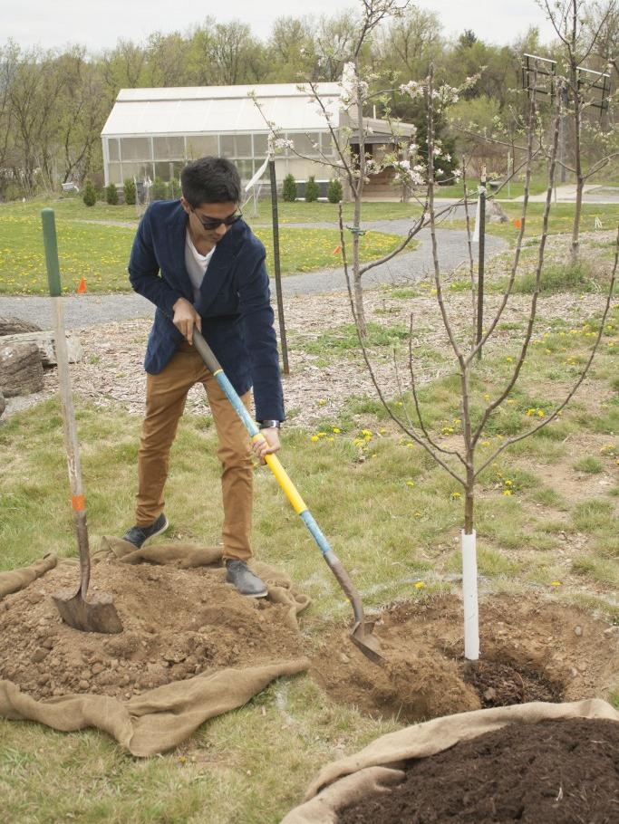 2016 Tree Award 
