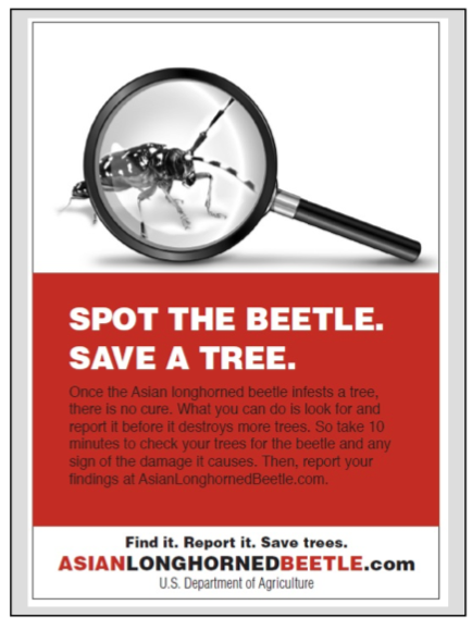 poster showing an Asian longhorn beetle under a magnifying glass