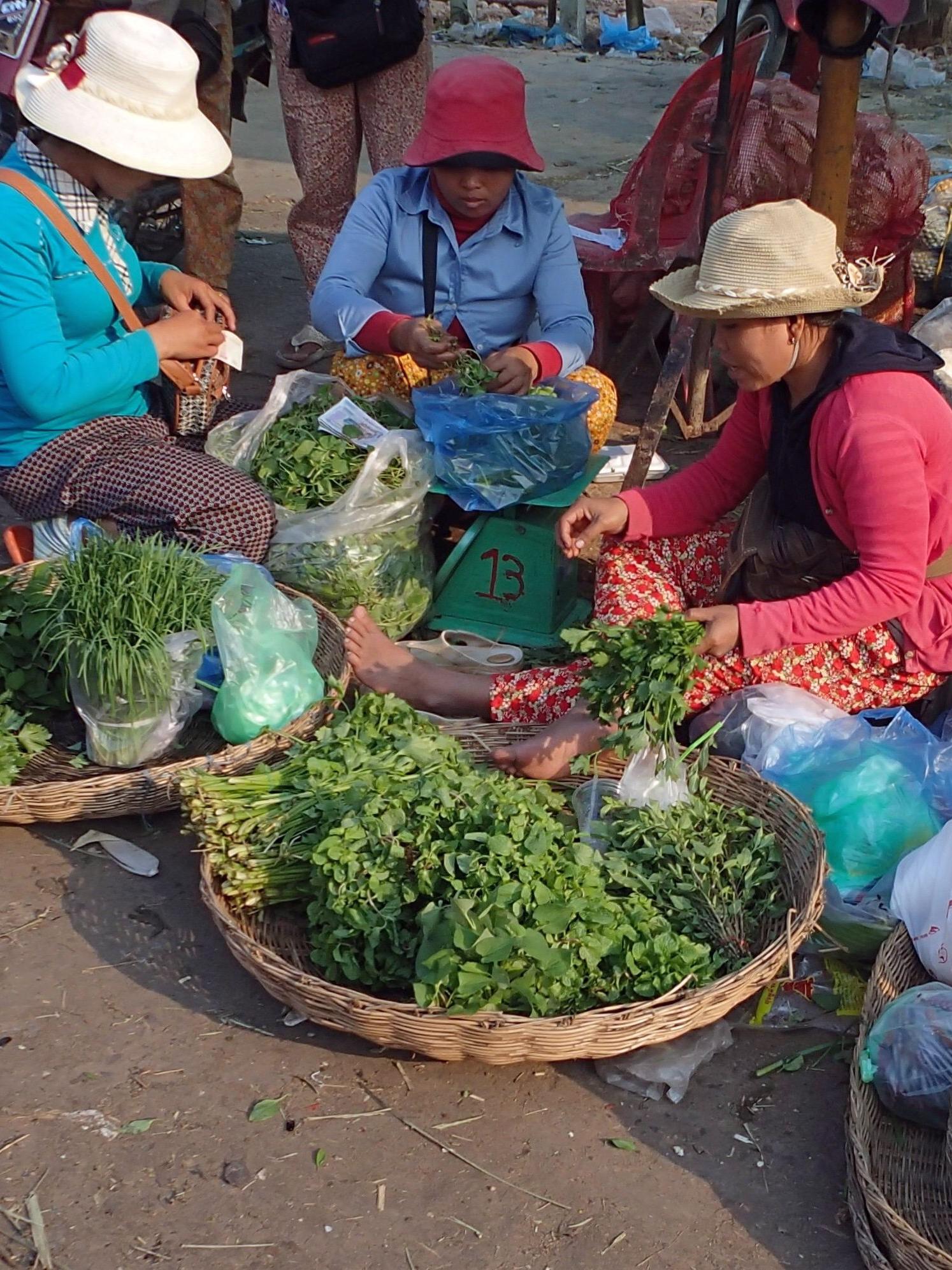 Cambodian vegetable collector