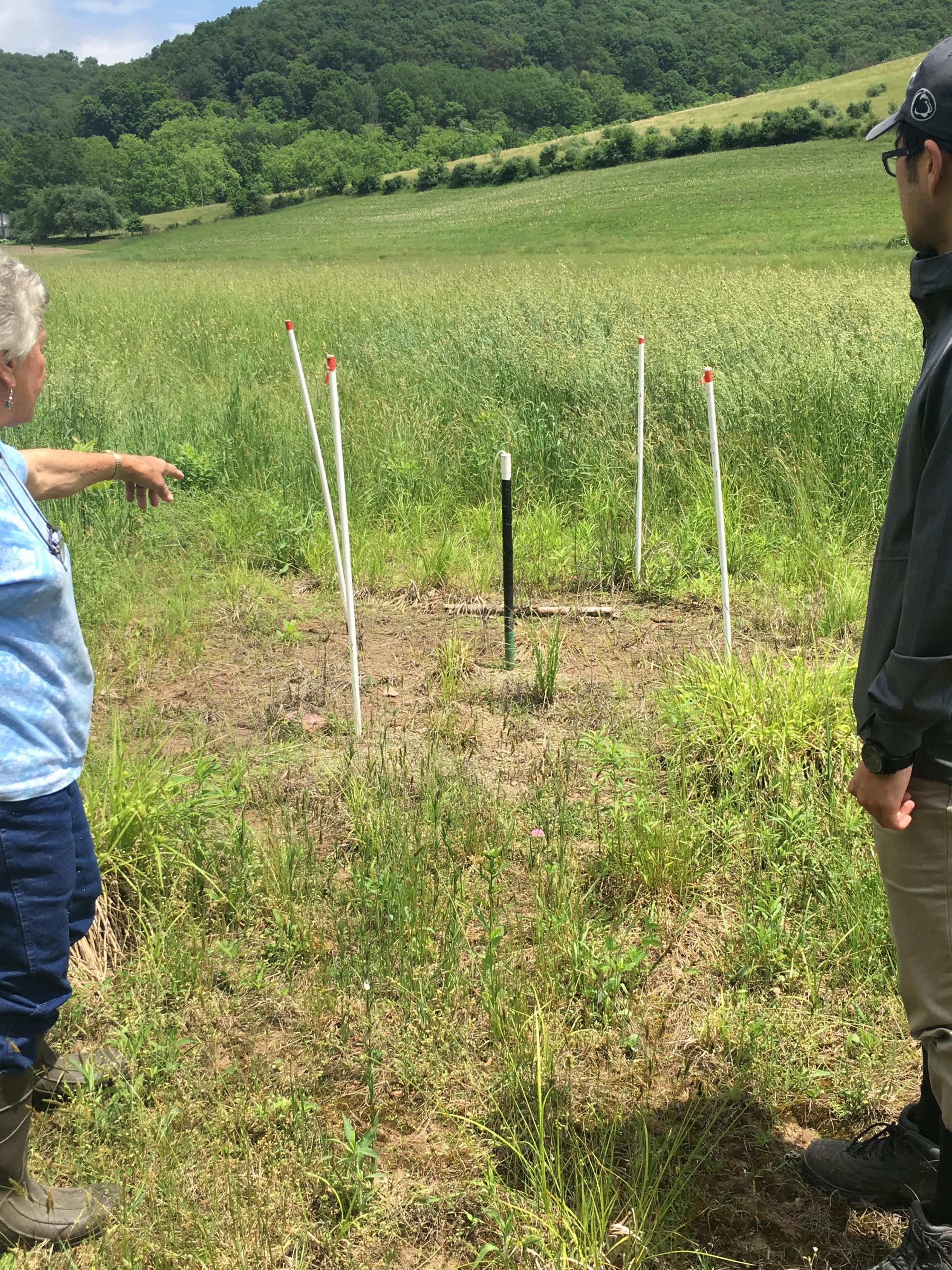 Two people looking at a browned out area of a field