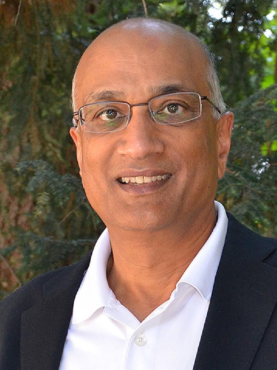 Vijay Krishna