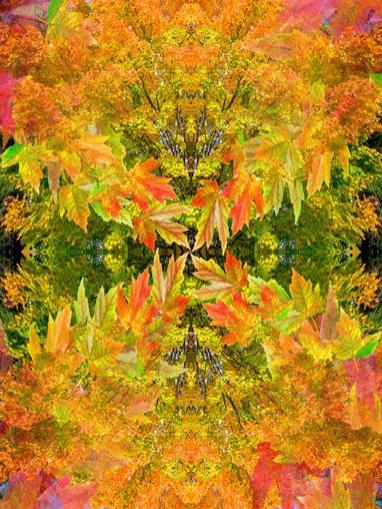 autumn leaves mirrored