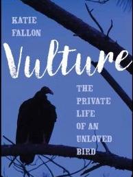 Vulture