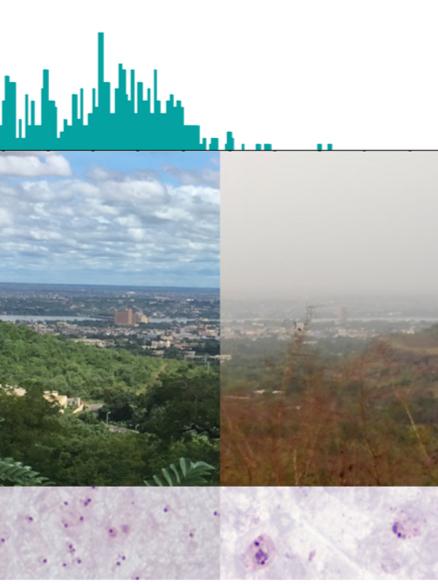 Reduced malaria in dry season