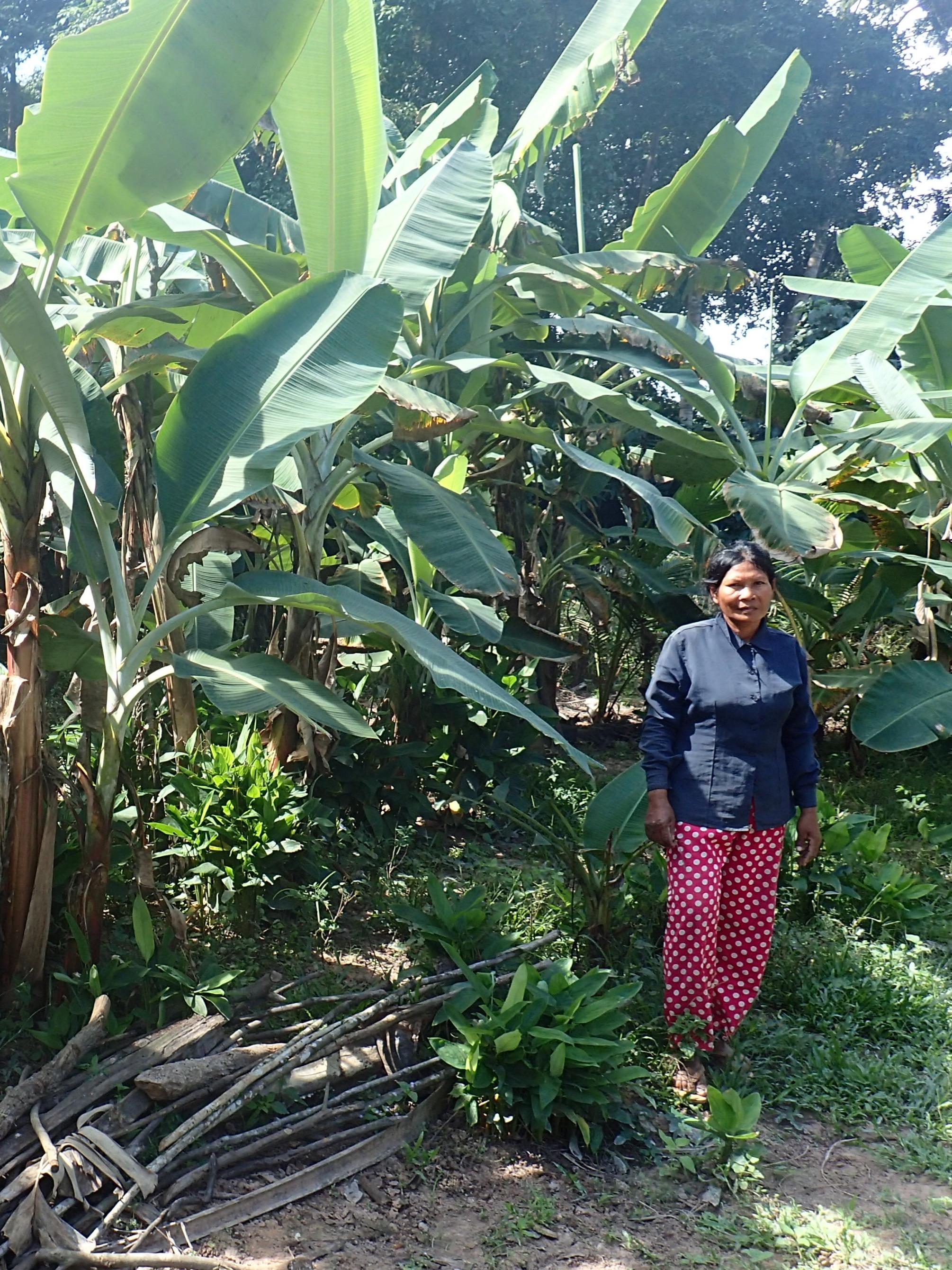 Wild garden 2