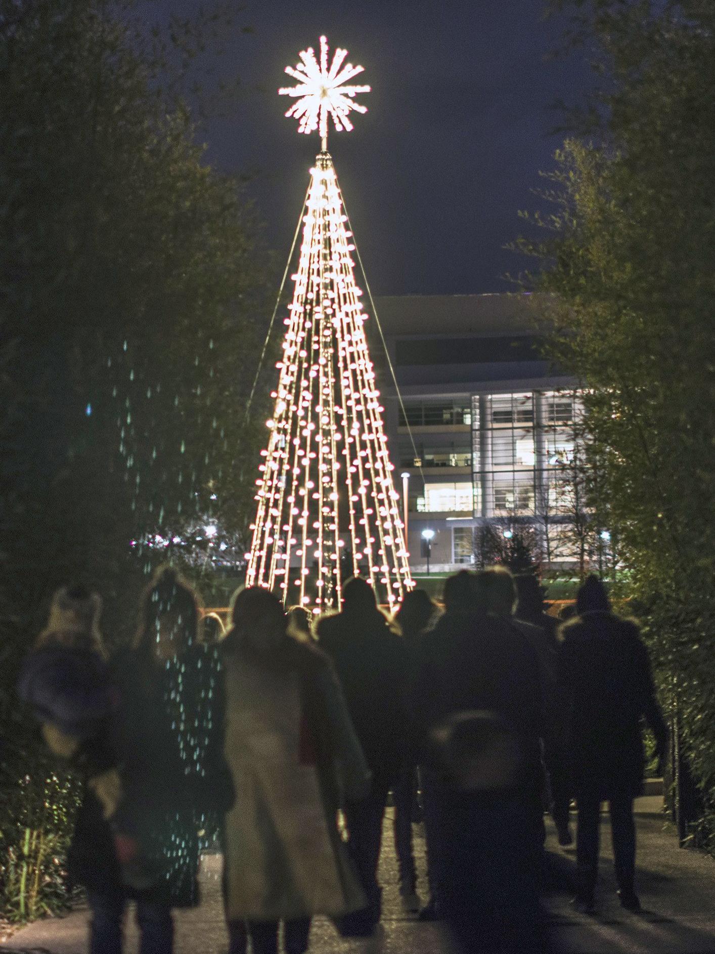 Tree of Light Penn State Arboretum