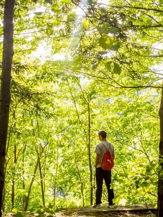 A student looks out over Wintergreen Gorge at Penn State Behrend.