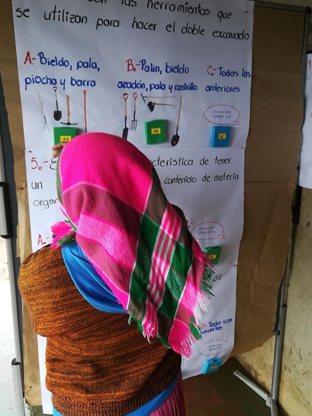Farmer Field school woman at poster
