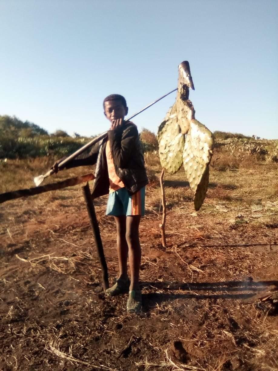 African boy holding prickly pear cactus