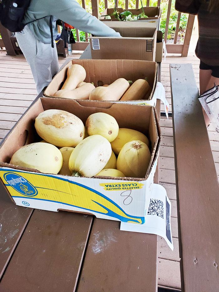 Farmer's market