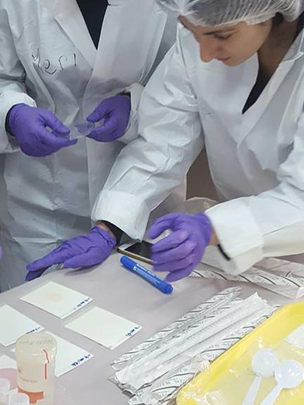 teaching food safety