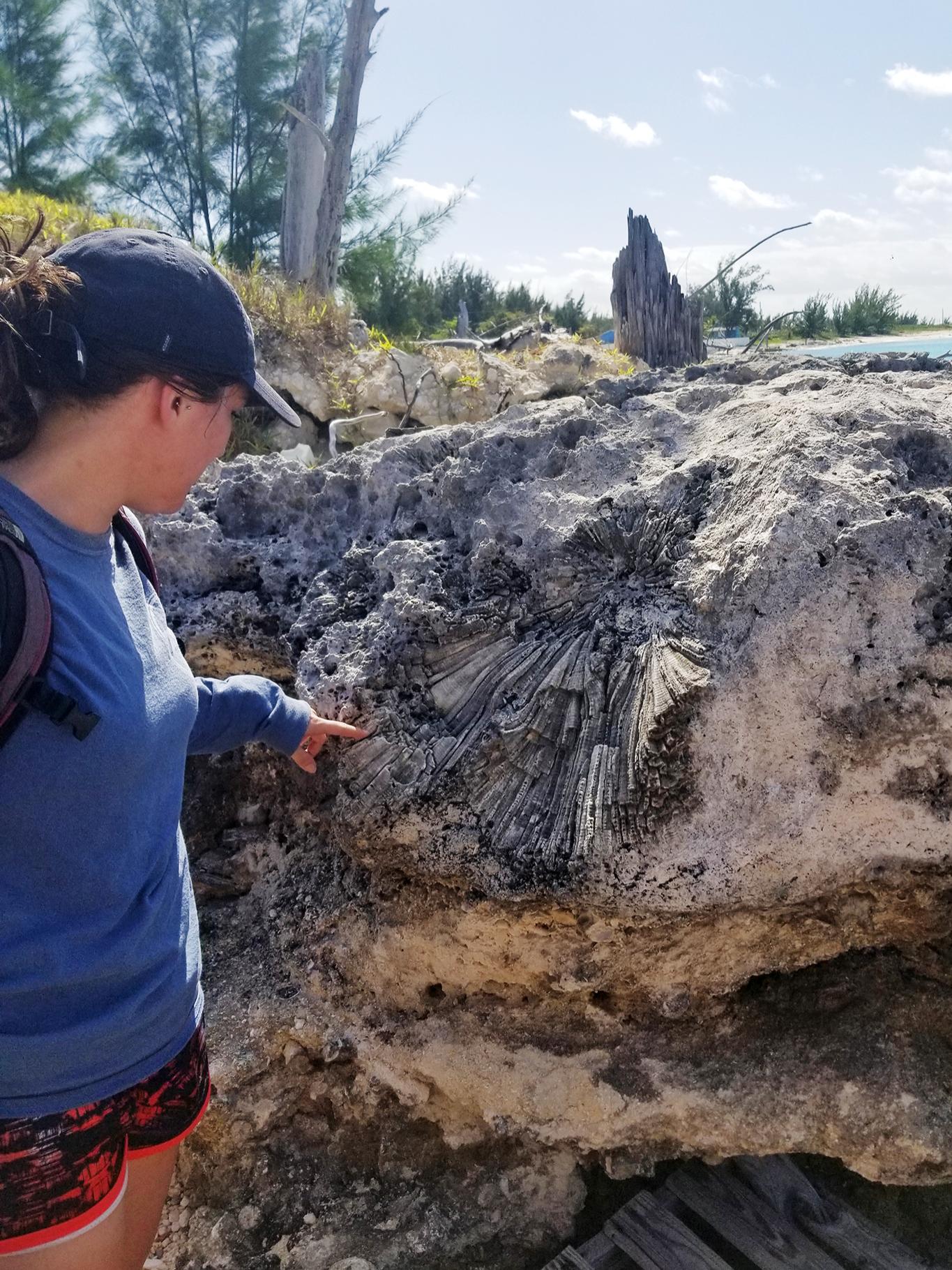 Students studied the science behind the land and water of San Salvador, an island district of the Bahamas.