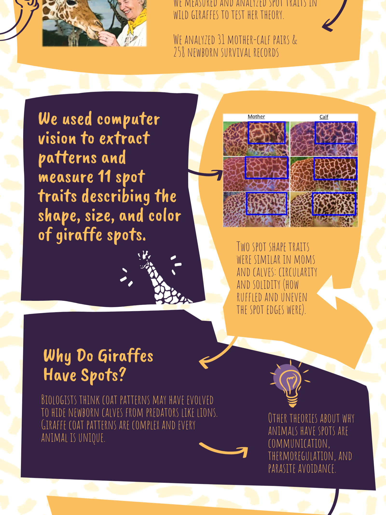 giraffe spots graphic