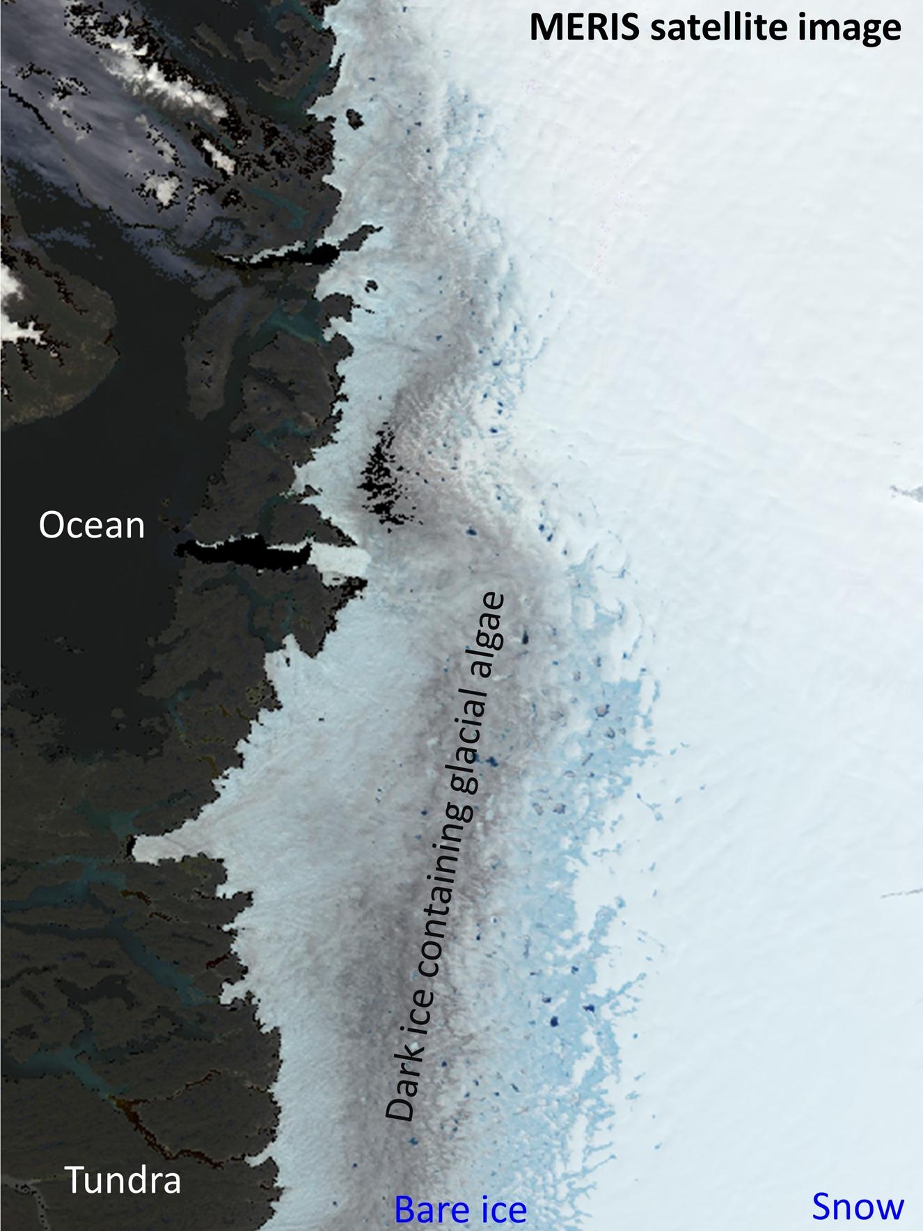 Satellite image of dark ice, bare ice and snow