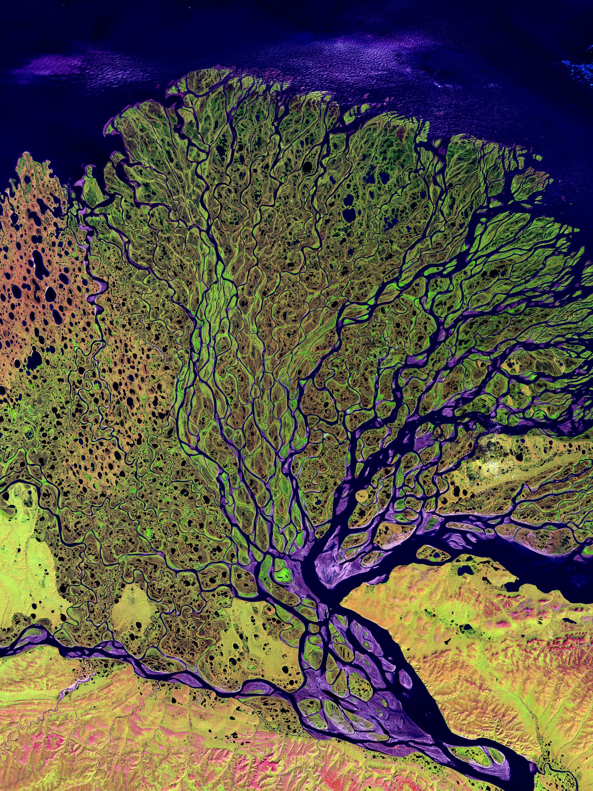 fractal image