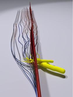 Streamlines showing the flow structure