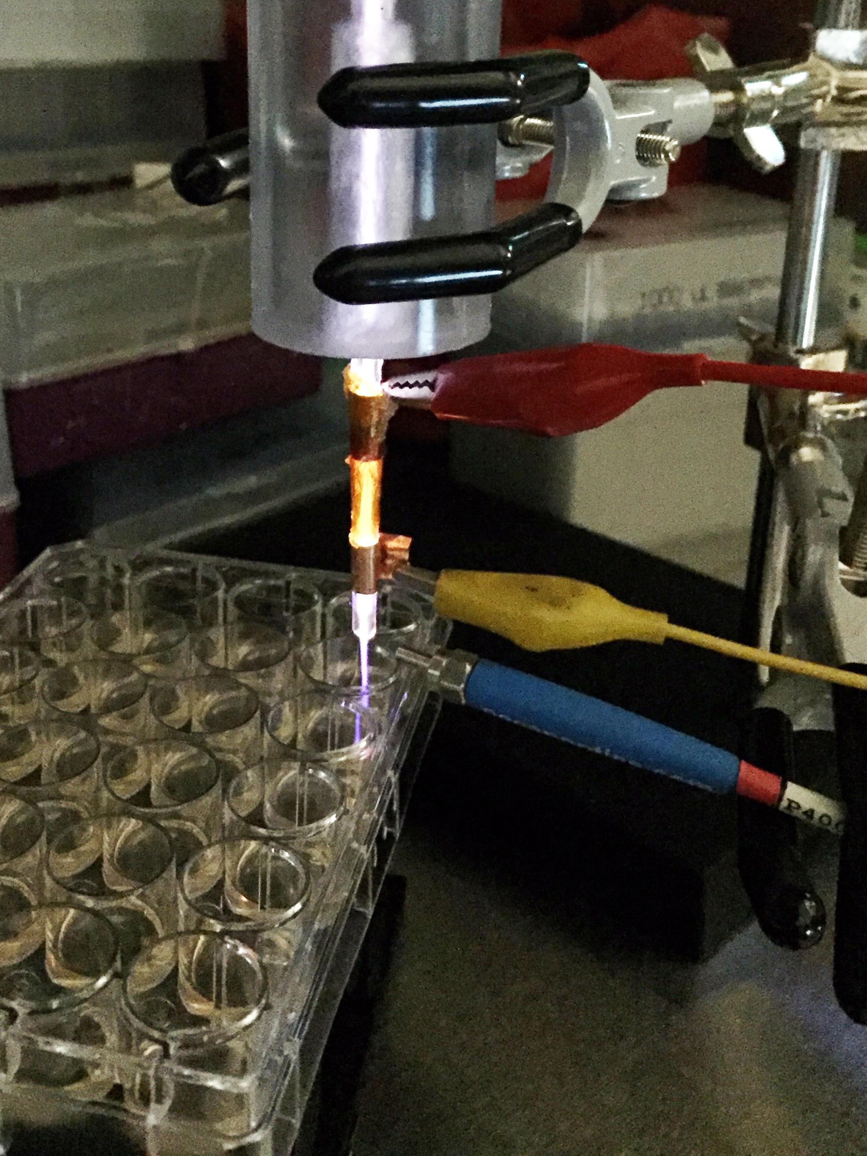 Plasma entered into petri dishes