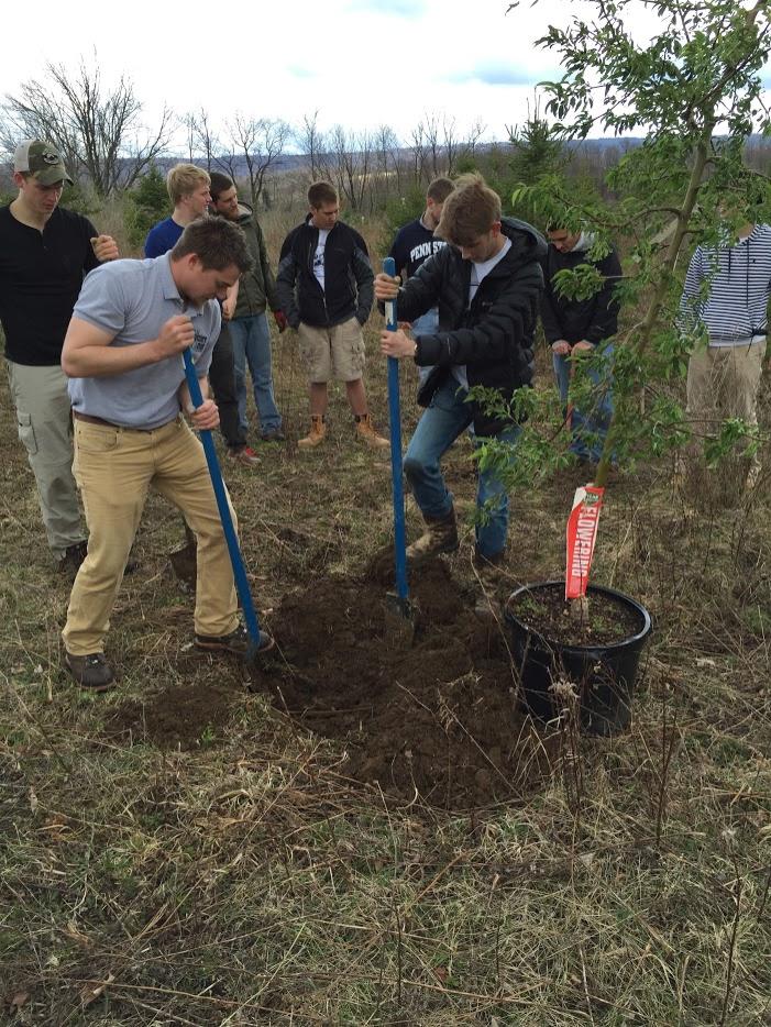 Students dig one of 200 trees planted by Positive Energy for the student organization's kickoff event in Roaring Branch, PA
