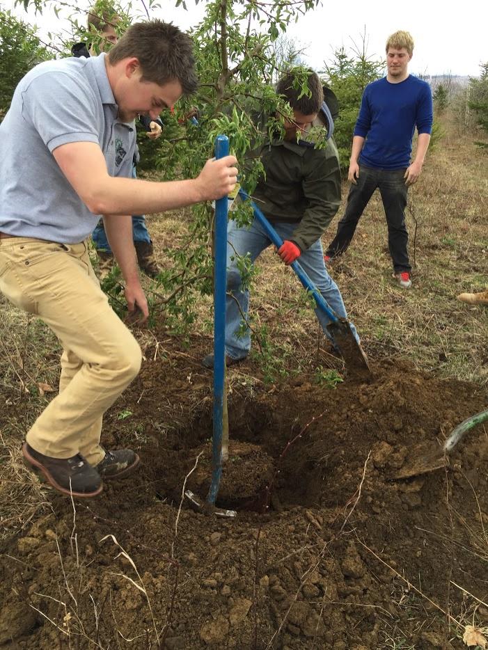 Students plant a tree in Roaring Branch, PA, for a kickoff event for Positive Energy, a new student organization created to give back through environmental activities.