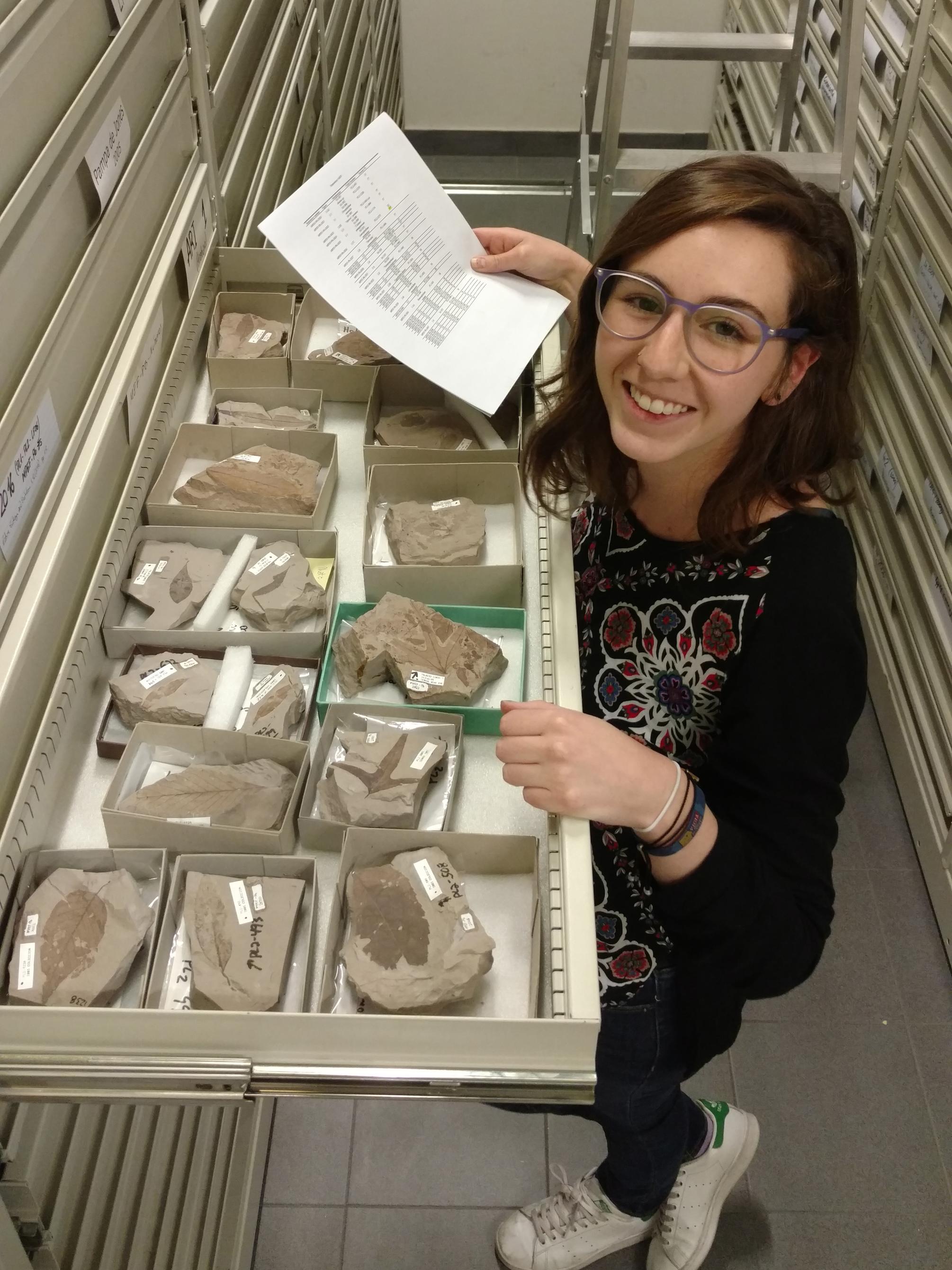 Elena Stiles examining plant fossils at the Museo Paleontologico Egidio Feruglio