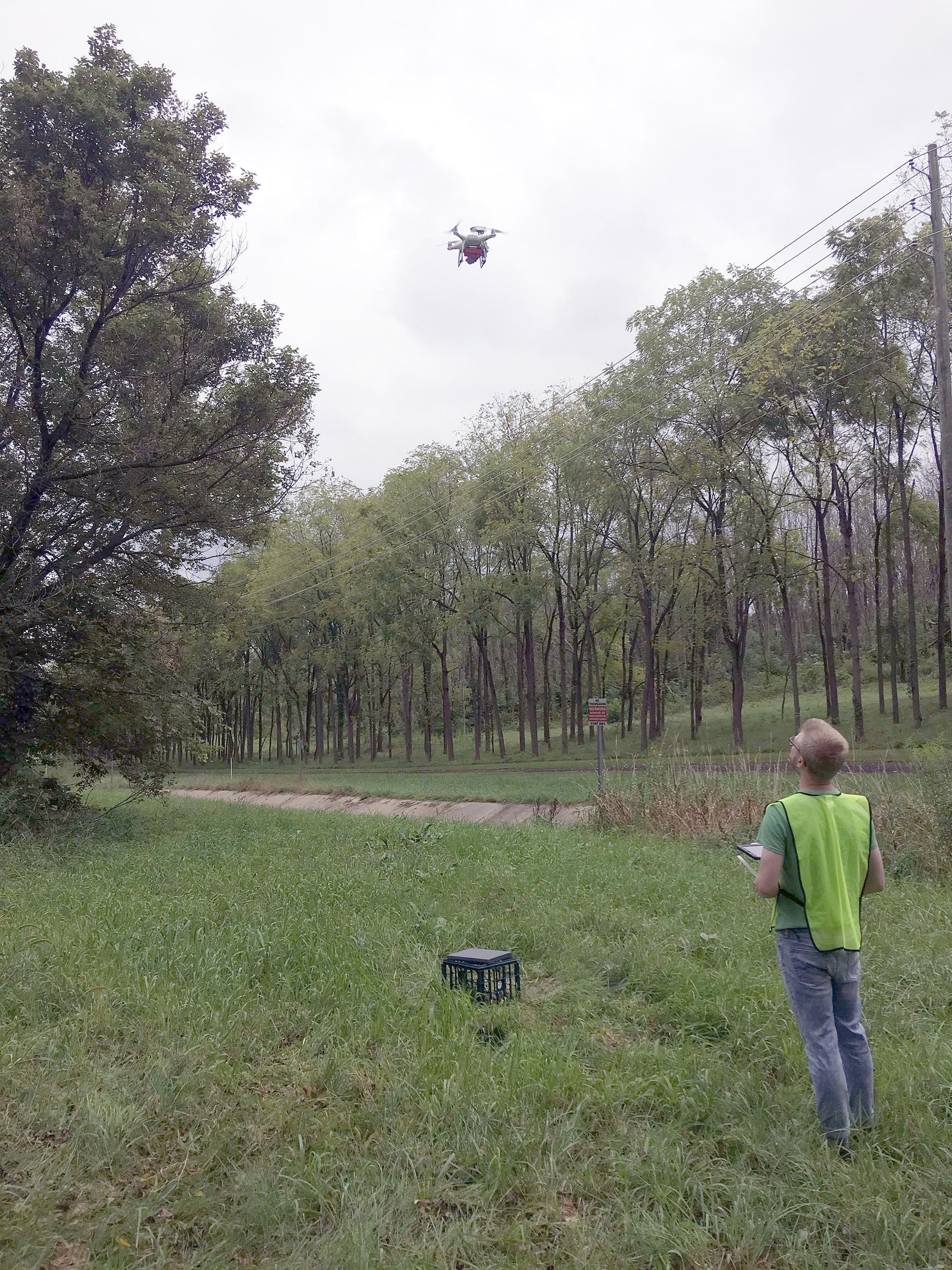 student studies leaf phenology