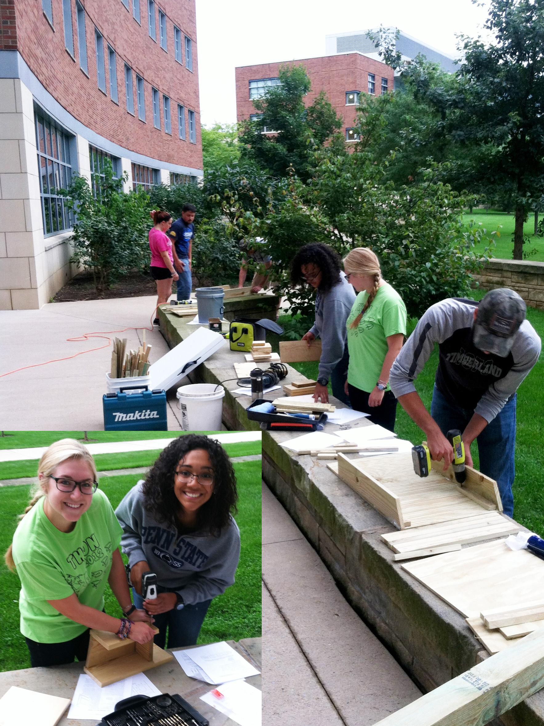 students building bat boxes