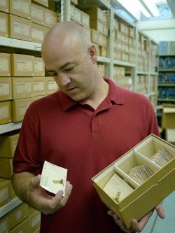 A man holds a box of preserved dragonfly specimens 