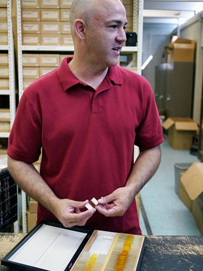 A man holds an insect specimen that is preserved in a clear slide