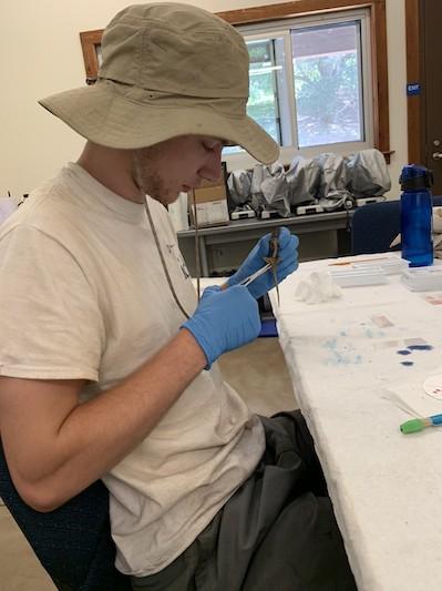 Huntur Woodard working in field lab