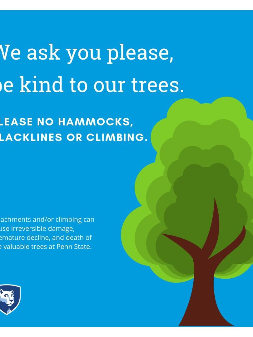 Tree Protection Graphic