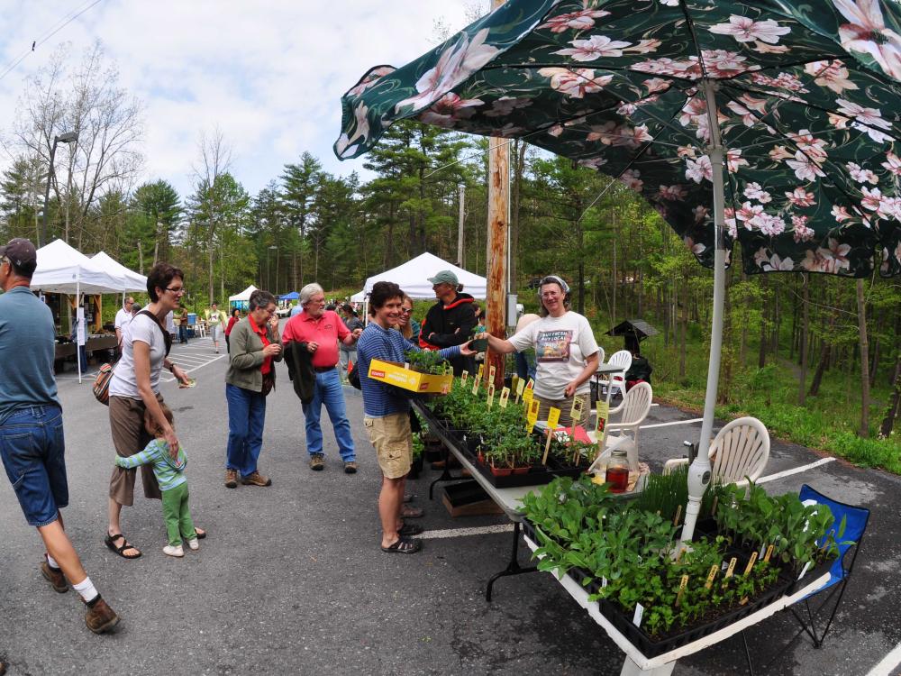 People look at vendors at plant festival