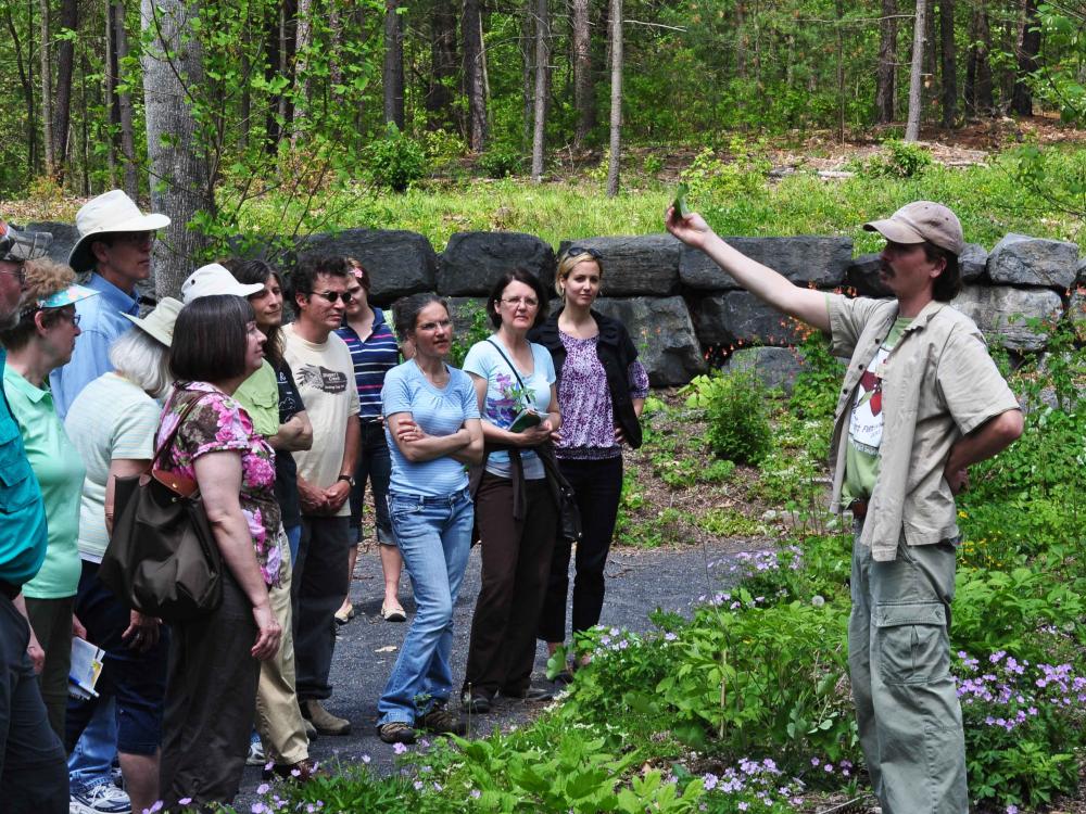 Visitors listen to walk leader talk about plants.