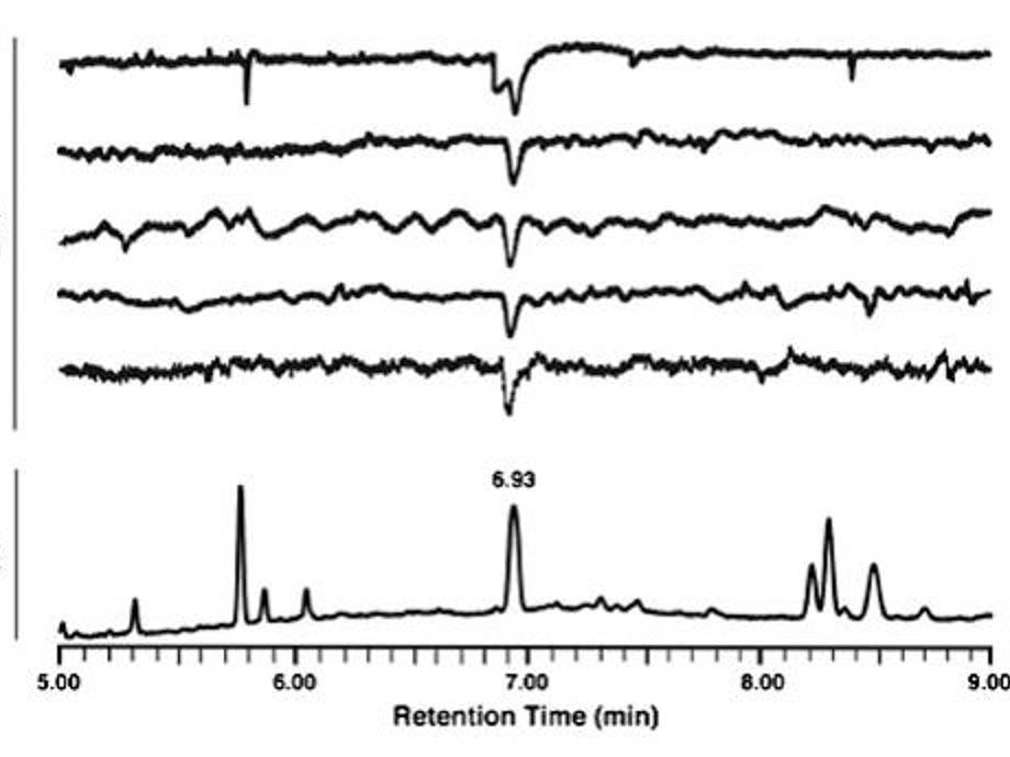 pheromone graph