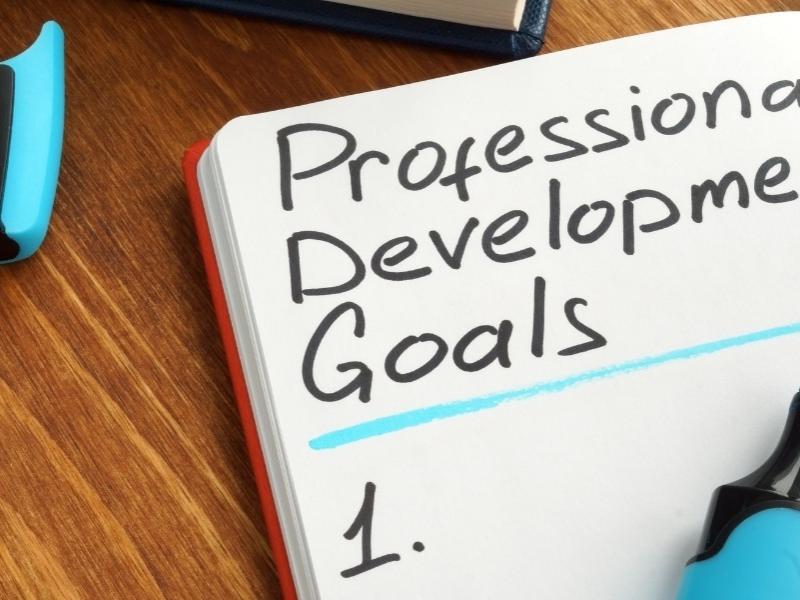 Professional development goals