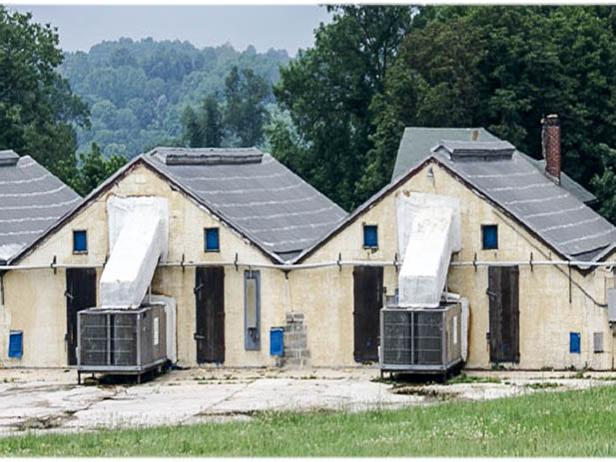 mushroom houses