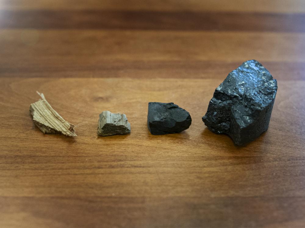 small piece of wood, to right lignite, subbituminous, bituminous