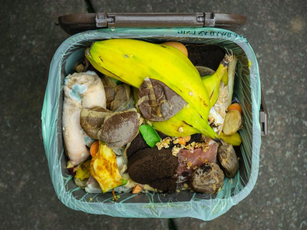 Discarded food in a wastebasket