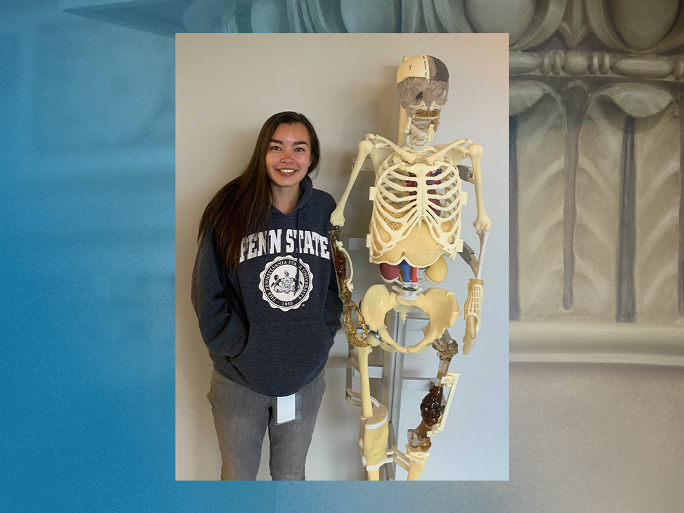 A graduate student wearing a Penn State hoodie stands next to a faux skeleton with a 3D-printed rib plate implant.