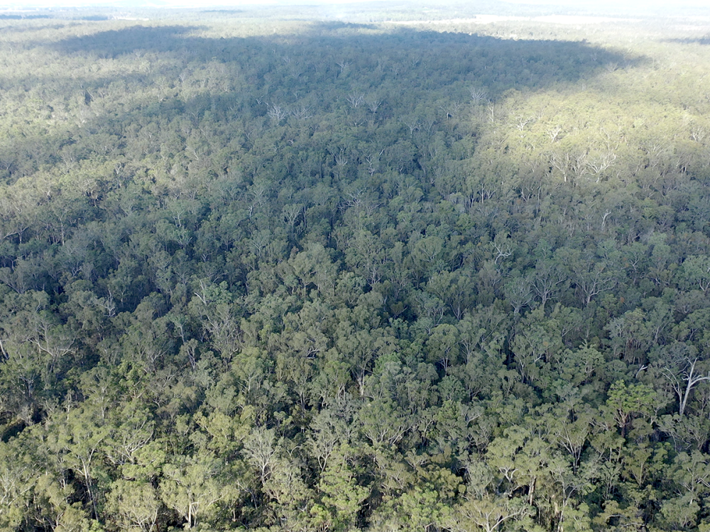Aerial image of Bungawalbin National Park in New South Wales, Australia