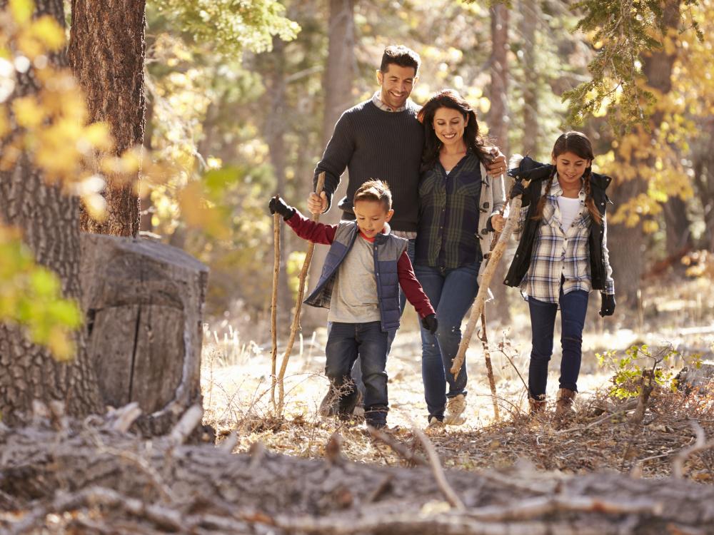 Mother, father, and two children walking in the woods in the autumn