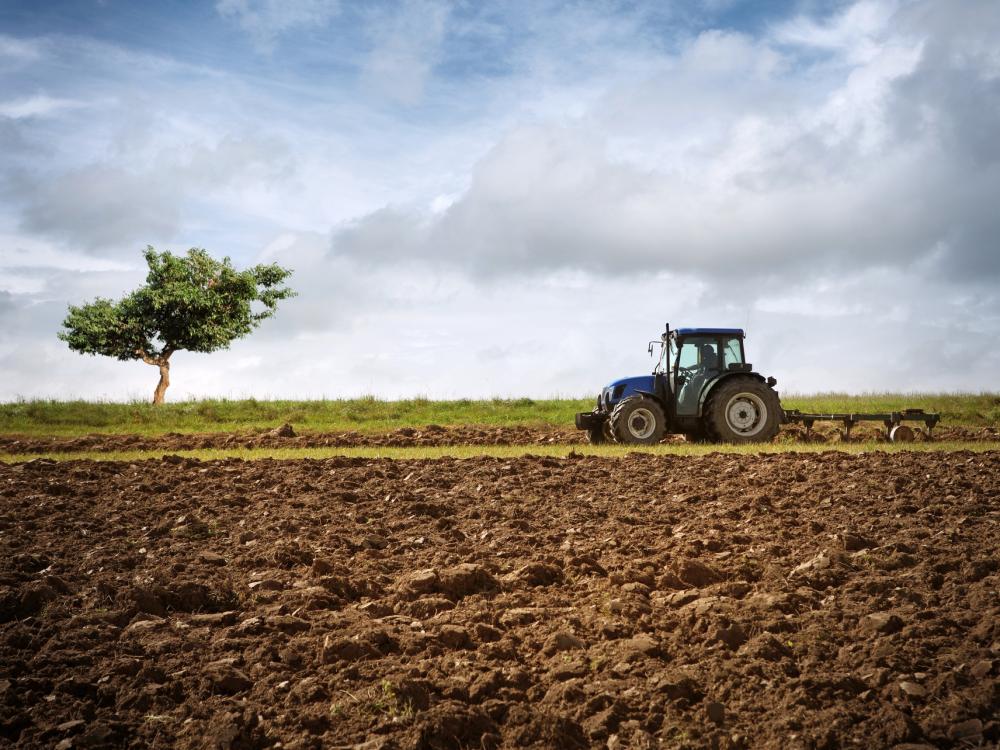 Tractor plowing a field