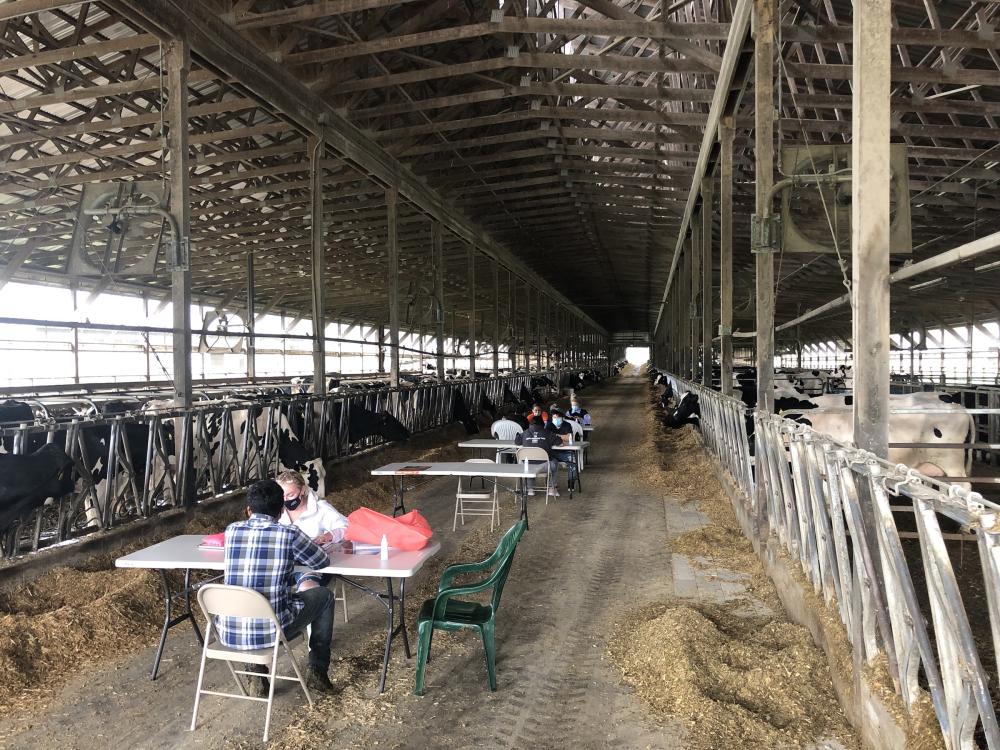 Penn State students and Latino farmworkers learn from one another in a dairy barn as part of a community service course at Penn State