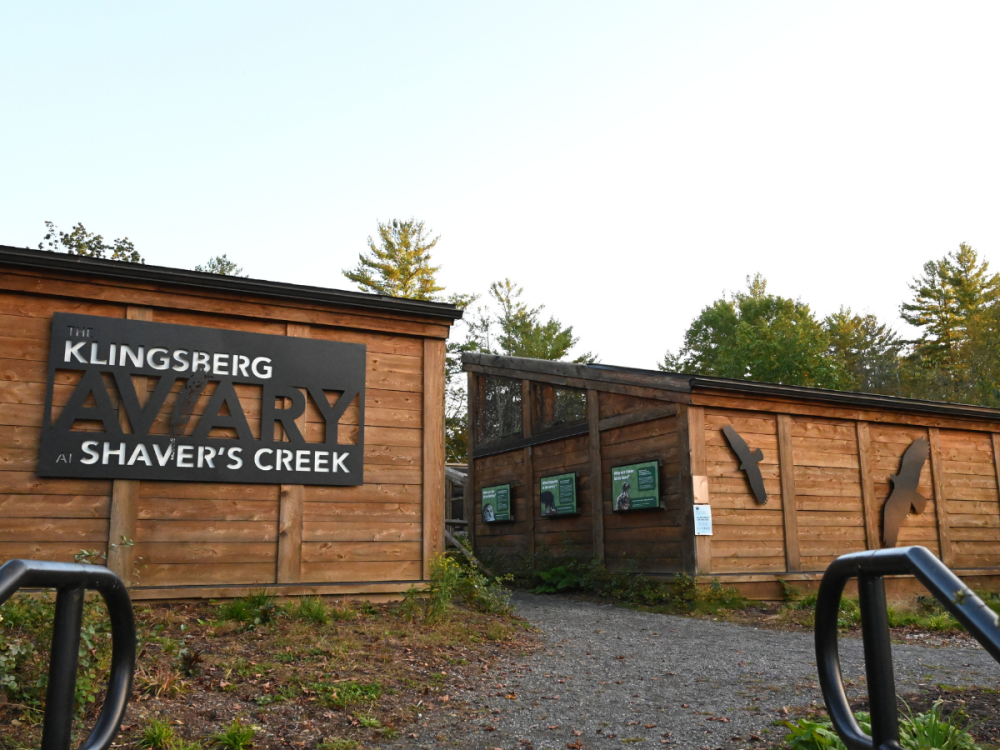 aviary buildings