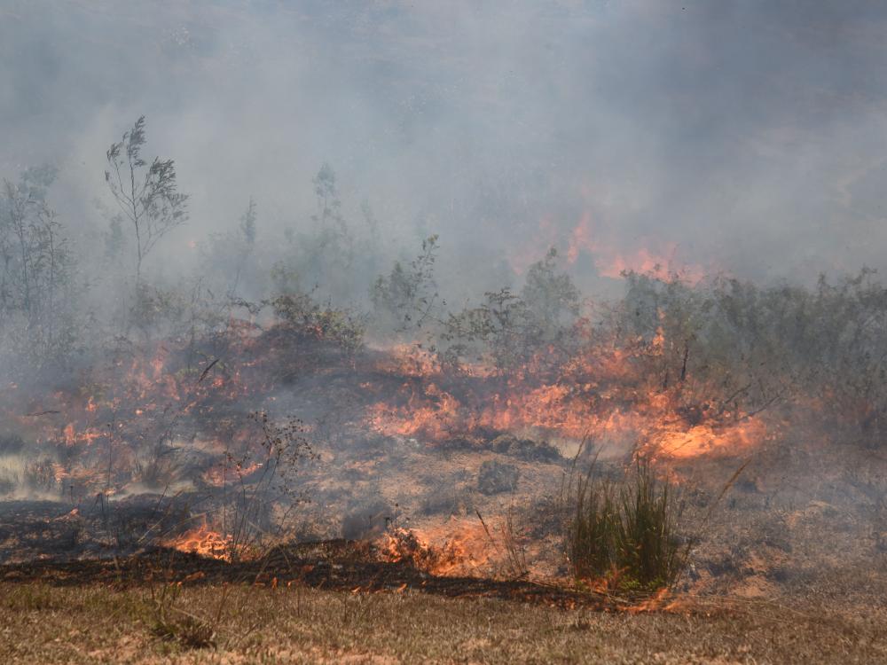 wide shot of fire consuming grasslands