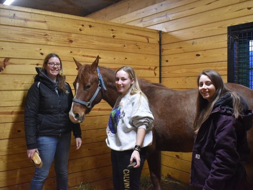 Penn State quarter horse sale