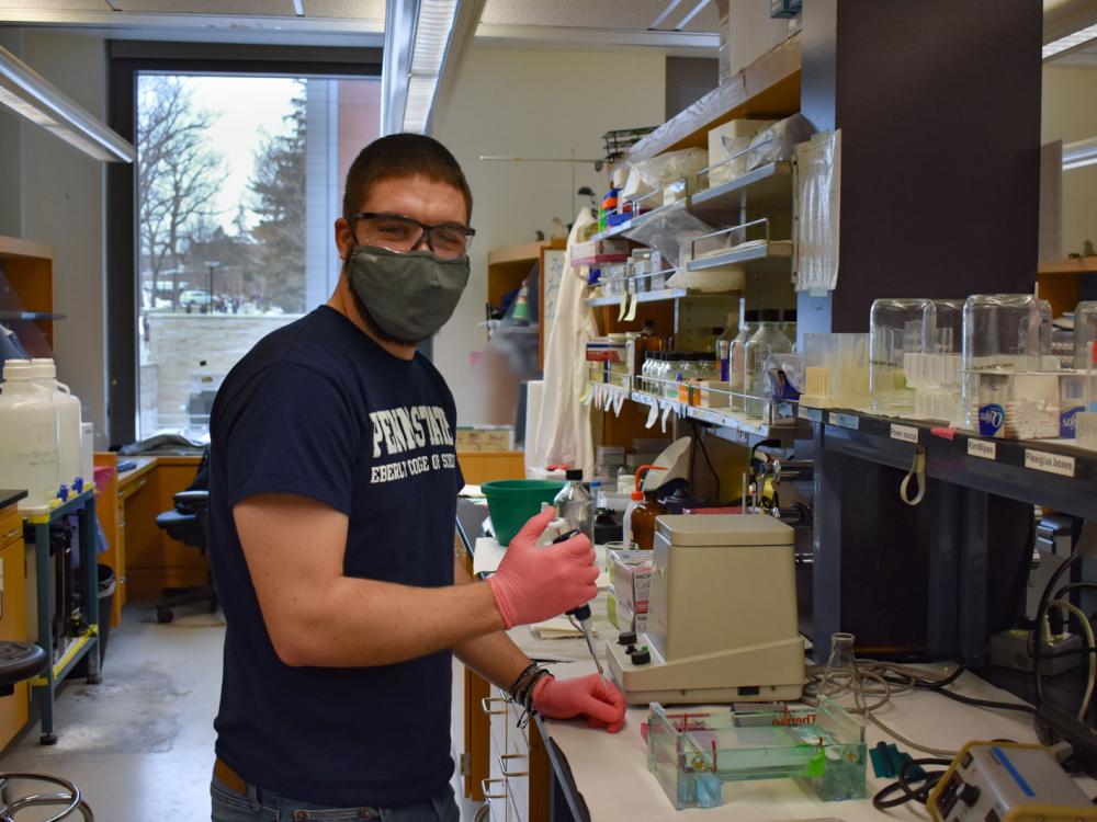 Herne wearing gloves and glasses holds pipette in lab