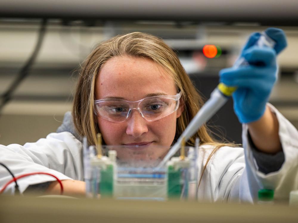 Penn State Behrend student Madison Jones works in the college's Biomedical Translation Research Lab.